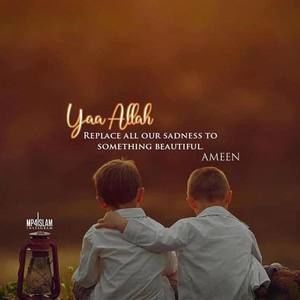 Meet your Posher, Alaa